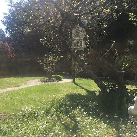 La Pallanzotta ヴェルバーニア エクステリア 写真